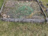 image of grave number 456256
